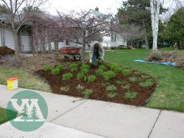 Spring Clean-up in the Garden Beds