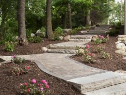 Once an eroded hillside, this space has been transformed with a new pathway.